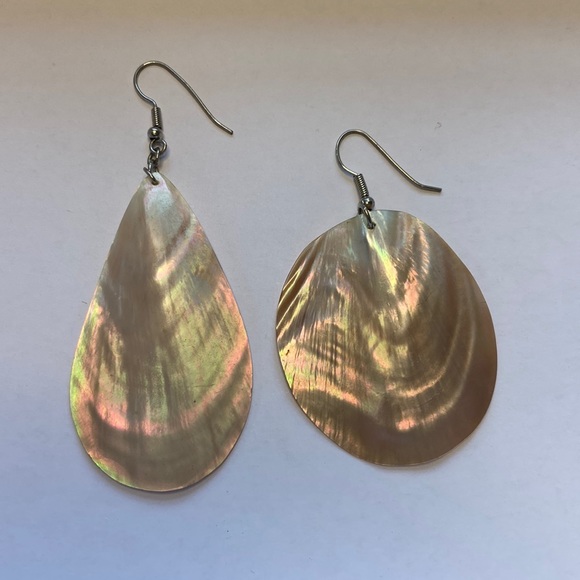 Abalone shell earrings - Picture 1 of 5